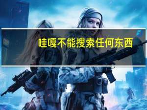 哇嘎不能搜索任何东西（哇嘎不能搜索）