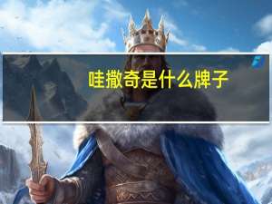 哇撒奇是什么牌子