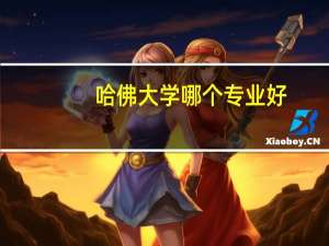 哈佛大学哪个专业好