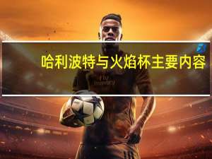哈利波特与火焰杯主要内容（哈利 波特与火焰杯）