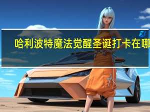 哈利波特魔法觉醒圣诞打卡在哪里-圣诞打卡景点位置一览