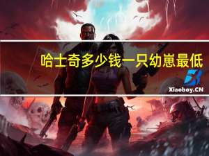 哈士奇多少钱一只幼崽最低（哈士奇多少钱一只幼崽）
