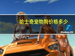 哈士奇宠物狗价格多少