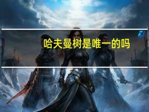 哈夫曼树是唯一的吗