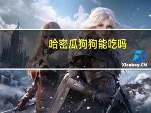 哈密瓜狗狗能吃吗