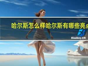 哈尔斯怎么样哈尔斯有哪些亮点