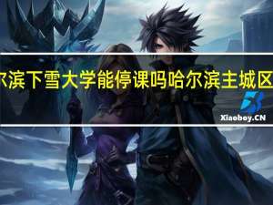 哈尔滨下雪大学能停课吗 哈尔滨主城区明天停课