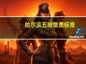 哈尔滨五险缴费标准