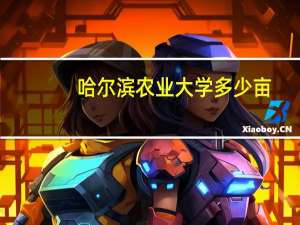 哈尔滨农业大学多少亩