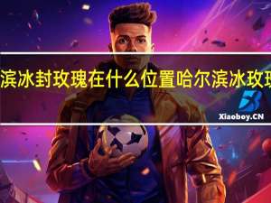 哈尔滨冰封玫瑰在什么位置 哈尔滨冰玫瑰太浪漫了