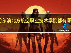 哈尔滨北方航空职业技术学院都有哪些专业