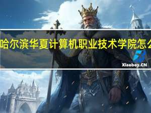 哈尔滨华夏计算机职业技术学院怎么样啊. 有没有在那里的介绍下.