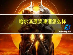 哈尔滨原浆啤酒怎么样