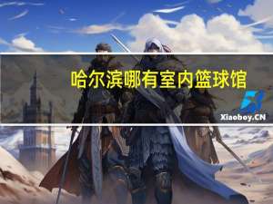 哈尔滨哪有室内篮球馆