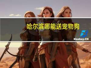哈尔滨哪能送宠物狗