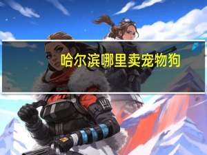 哈尔滨哪里卖宠物狗