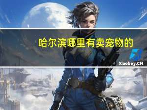 哈尔滨哪里有卖宠物的
