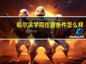 哈尔滨学院住宿条件怎么样