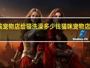 哈尔滨宠物店给猫洗澡多少钱 猫咪宠物店洗澡多少钱