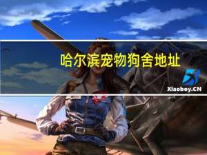 哈尔滨宠物狗舍地址