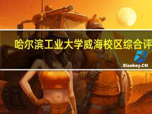 哈尔滨工业大学威海校区综合评价