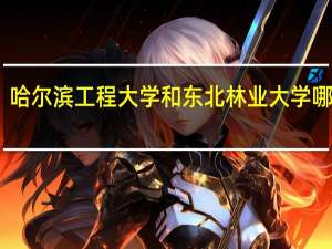哈尔滨工程大学和东北林业大学哪个好