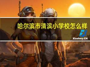 哈尔滨市清滨小学校怎么样