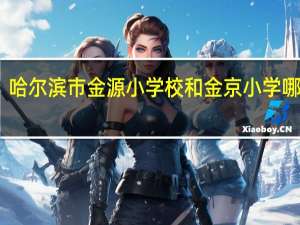 哈尔滨市金源小学校和金京小学哪个好