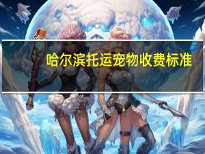 哈尔滨托运宠物收费标准