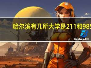 哈尔滨有几所大学是211和985