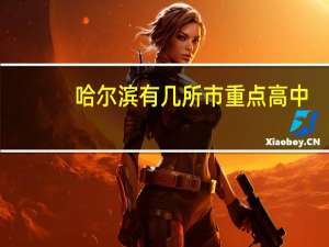哈尔滨有几所市重点高中