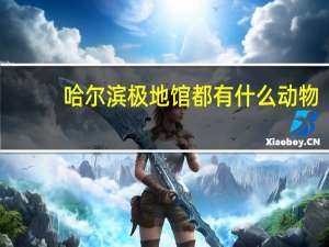 哈尔滨极地馆都有什么动物
