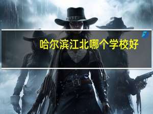 哈尔滨江北哪个学校好