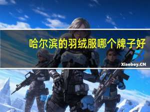 哈尔滨的羽绒服哪个牌子好