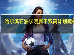 哈尔滨石油学院属于双高计划院校吗