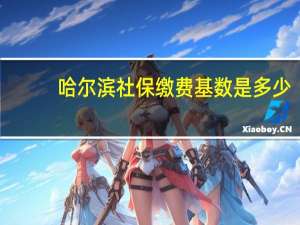 哈尔滨社保缴费基数是多少