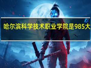 哈尔滨科学技术职业学院是985大学吗