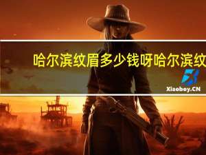 哈尔滨纹眉多少钱呀 哈尔滨纹眉毛哪家店最好