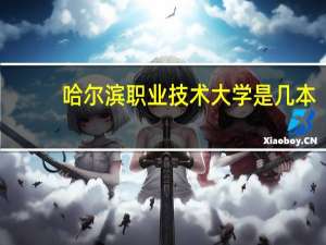 哈尔滨职业技术大学是几本