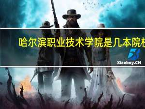 哈尔滨职业技术学院是几本院校