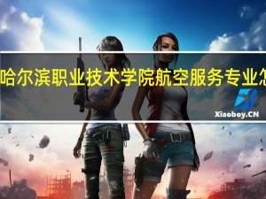 哈尔滨职业技术学院航空服务专业怎么样