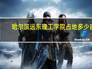 哈尔滨远东理工学院占地多少亩