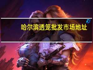 哈尔滨透笼批发市场地址（哈尔滨透笼批发市场）