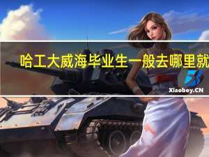 哈工大威海毕业生一般去哪里就业