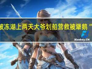 哈师大黑天鹅已被冻湖上两天大爷划船营救被犟鹅“拒绝” 到底什么情况呢