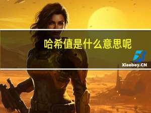 哈希值是什么意思呢
