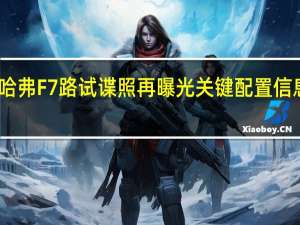 哈弗F7路试谍照再曝光 关键配置信息公布