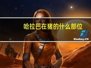 哈拉巴在猪的什么部位
