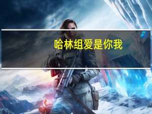 哈林组爱是你我（哈林组四强）
