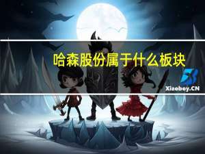 哈森股份属于什么板块